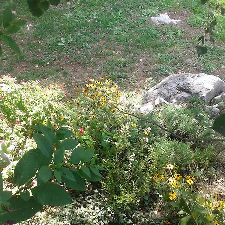 Jurdani Guest House Rabenseifner - Opatija מראה חיצוני תמונה