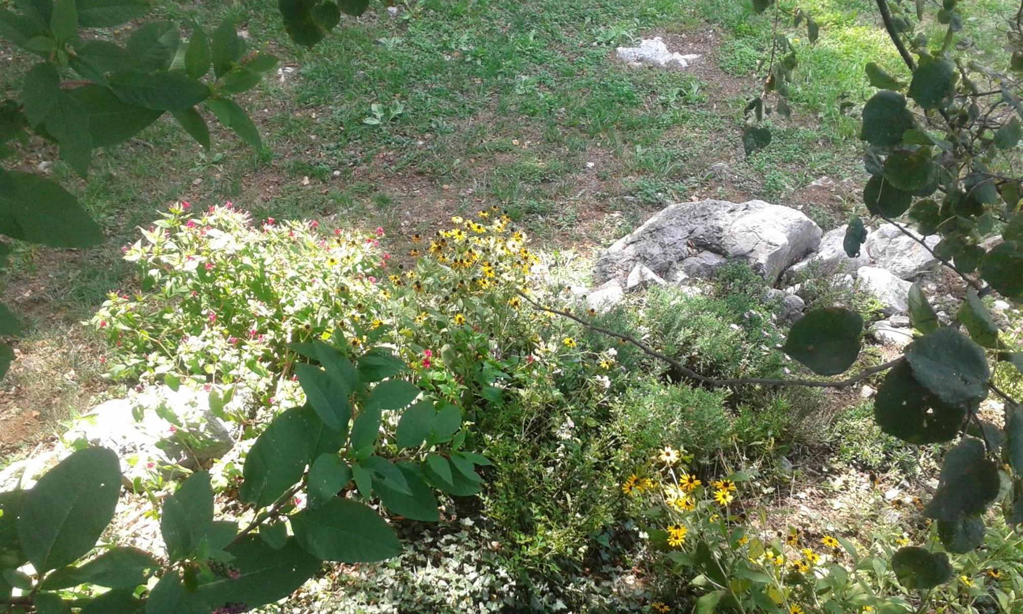 Jurdani Guest House Rabenseifner - Opatija מראה חיצוני תמונה