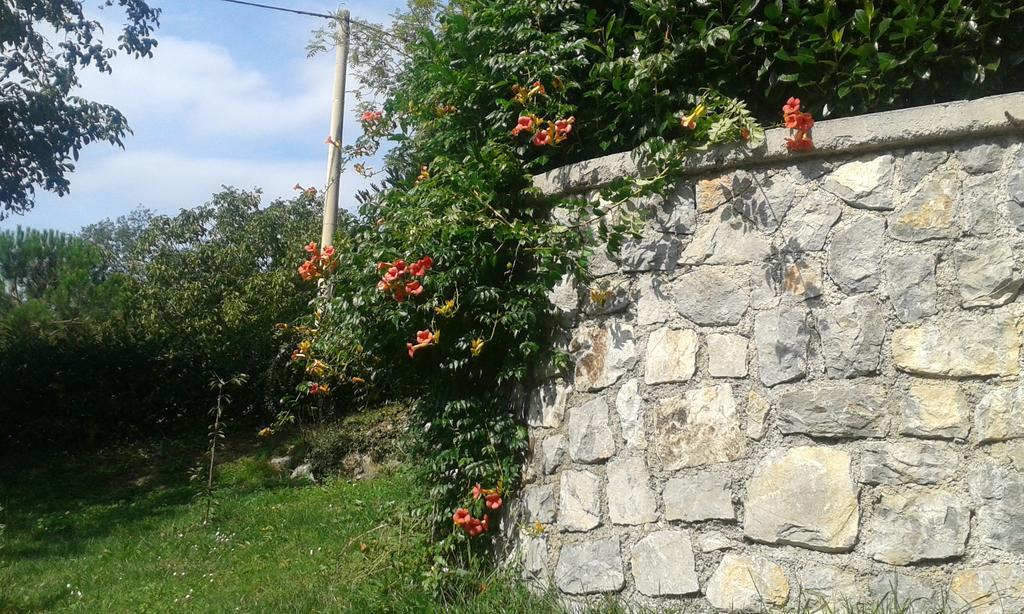Jurdani Guest House Rabenseifner - Opatija מראה חיצוני תמונה