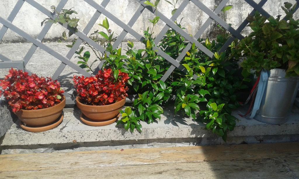 Jurdani Guest House Rabenseifner - Opatija מראה חיצוני תמונה